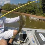 AOY, Second Chances, and Fishing Tours AOY, Second Chances, and Fishing Tours