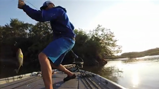 Another solid bass in the boat for Elite Angler Chad Pipkens on day 3 of the August 2014 Bassmaster Delaware River tournament